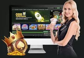 valohoki slot dashboard and player account overview